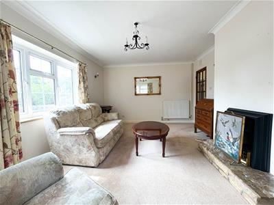Picture 7